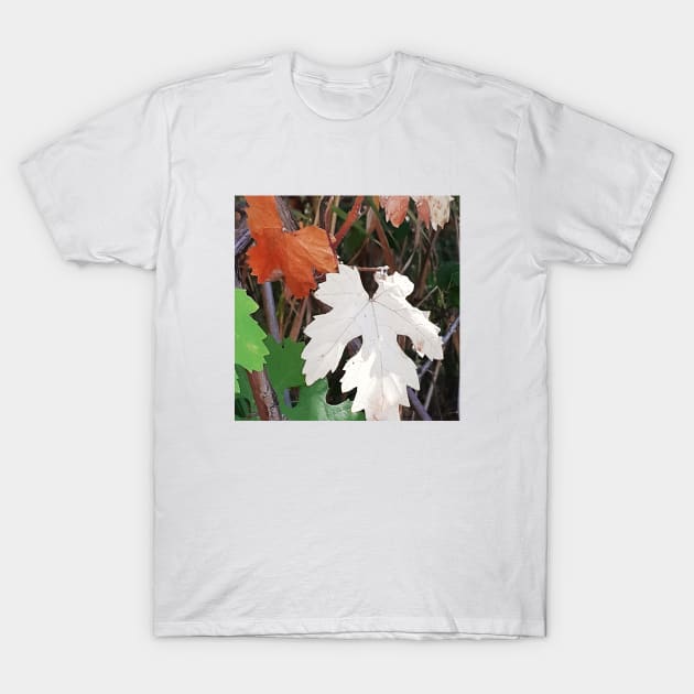 Colored leaves,  autumn, fall, leaves, leaf, Xmas, Christmas, spring, leaves decor, T-Shirt by PrintedDreams